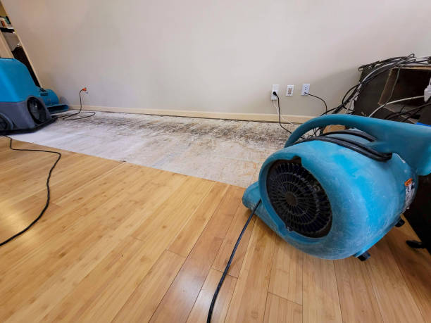 Professional Water Removal technician working in Edwards, MS